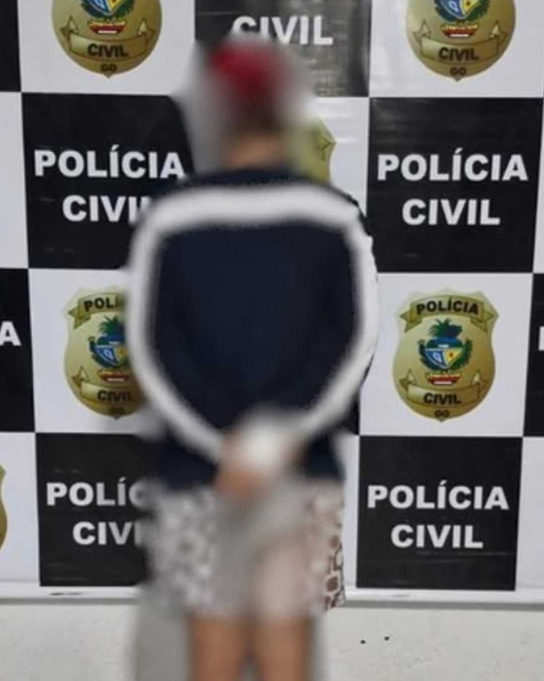 Polícia Civil prende em Goianésia homem acusado de ataques virtuais a moradores
