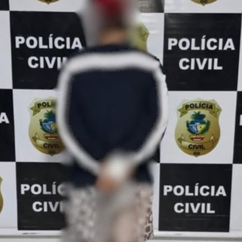 Polícia Civil prende em Goianésia homem acusado de ataques virtuais a moradores